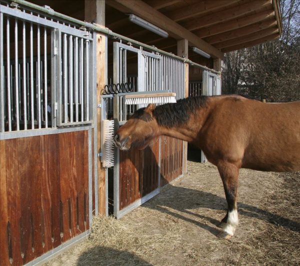 Spazzola per bovini Texas - immagine 2