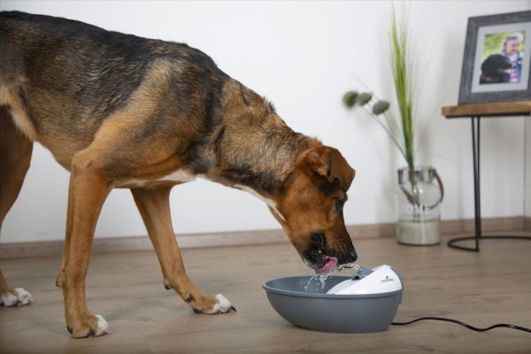 Fontanella Classic Pet Fountain per cani e gatti di piccola taglia - immagine 4