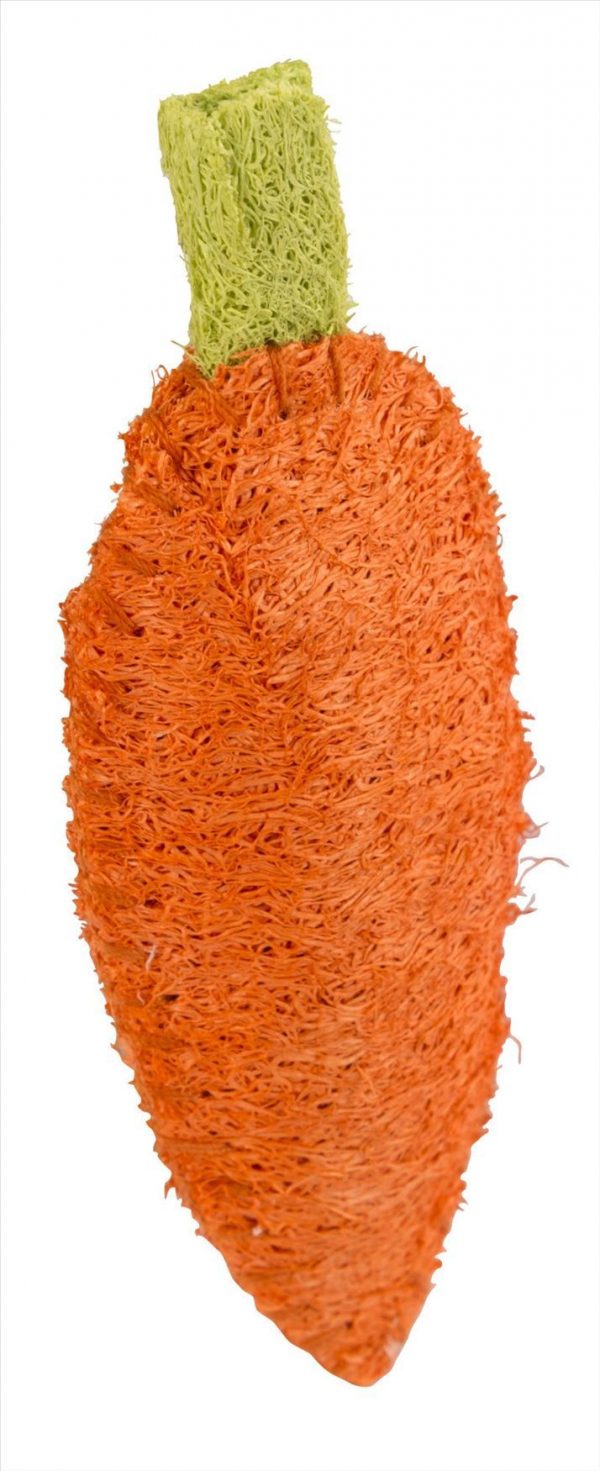 Carota in luffa