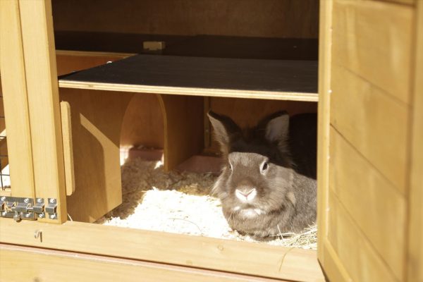 Casetta per roditori Appartement Pro - immagine 4