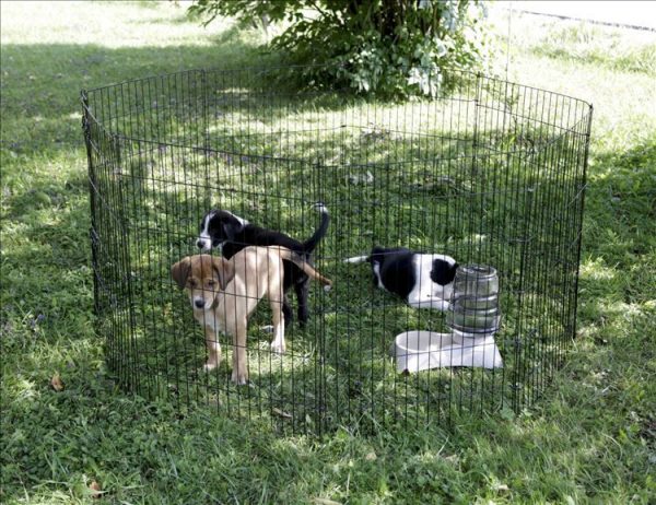 Recinto per cuccioli e piccoli animali - immagine 16