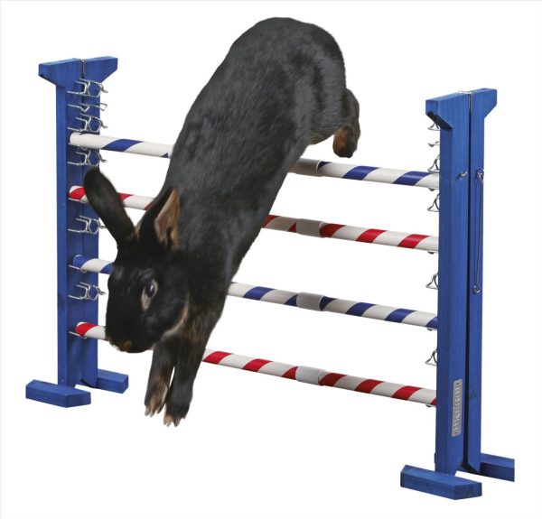 Salto combi Agility - immagine 3