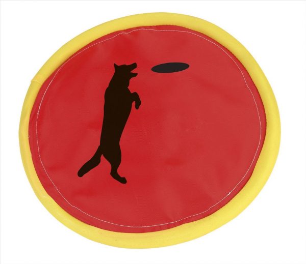 Frisbee