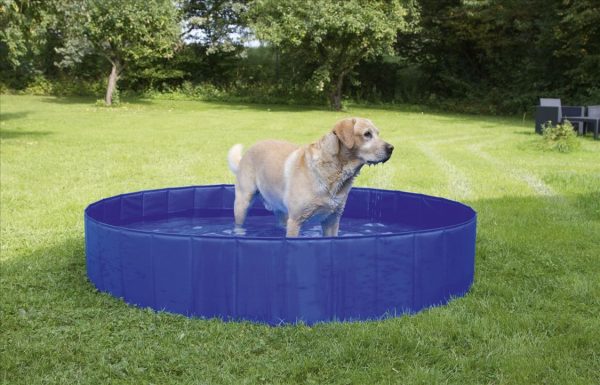 Piscina per cani - immagine 5