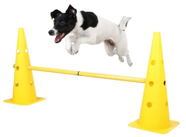 Set di pali/ostacoli Agility - immagine 6