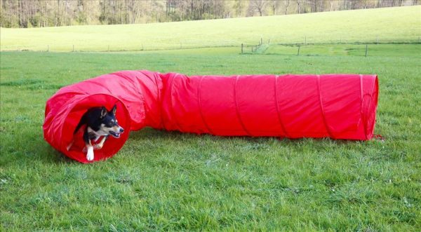 Tunnel per cani Agility - immagine 5