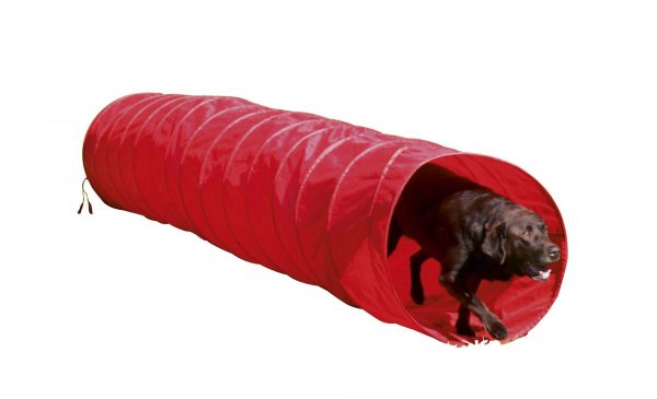 Tunnel per cani Agility - immagine 7