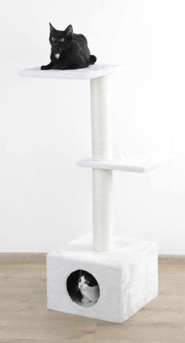 Albero tiragraffi Venus - immagine 5