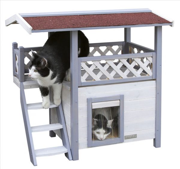 Casa per gatti Lodge Ontario - immagine 2