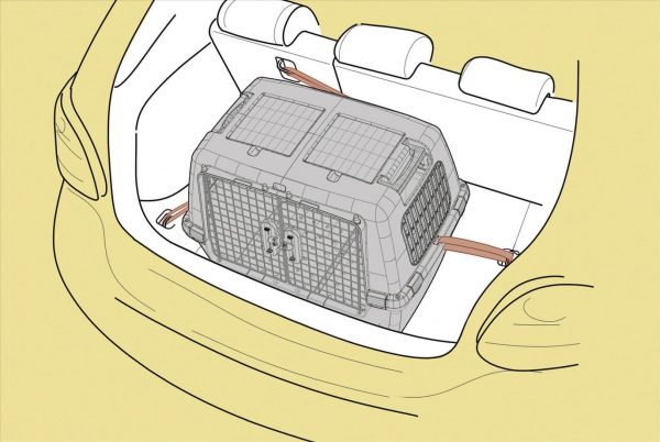 Box per trasporto Gulliver Touring IATA - immagine 11