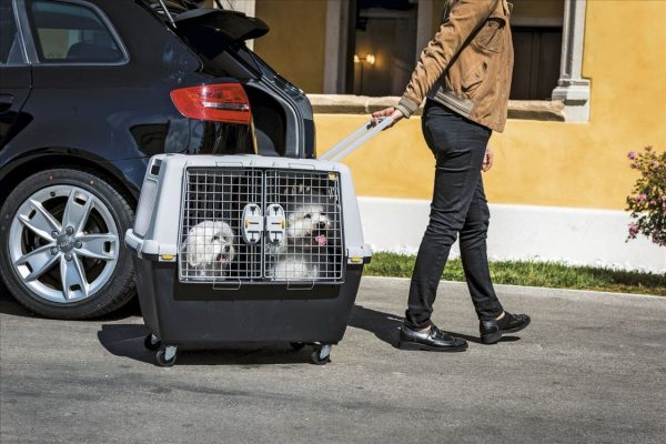 Box per trasporto Gulliver Touring IATA - immagine 8