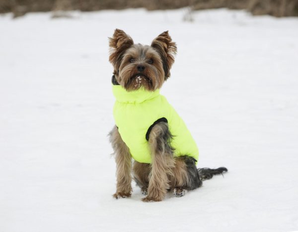 Cappotto imbottito Charmonix - immagine 6