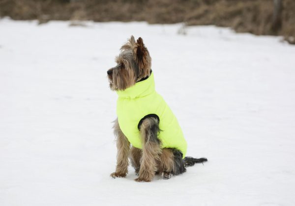 Cappotto imbottito Charmonix - immagine 7