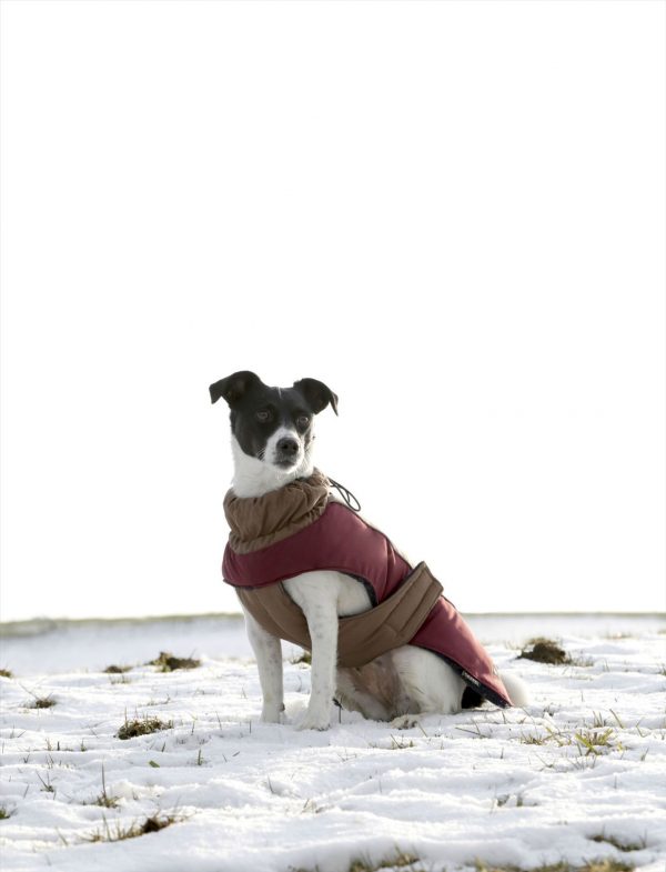 Cappotto per cani Royal Pets - immagine 5