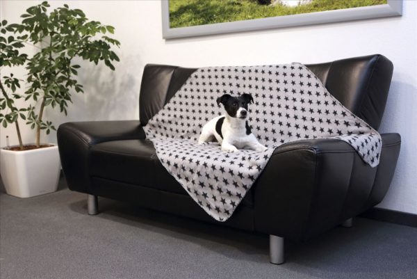 Coperta per cani Stella - immagine 4