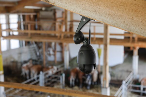 Telecamera IPCam 360 FHD con zoom ottico 5x - immagine 10