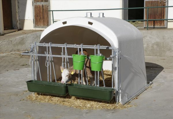 CalfHouse Premium XL con griglia di raccolta - immagine 2