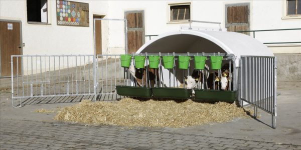 CalfHouse Premium XXL con recinto - immagine 5