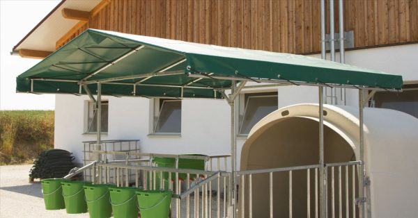 Tettoia per CalfHouse Premium XL - immagine 2