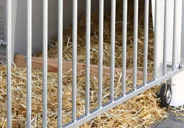 CalfHouse Premium Plus con recinto - immagine 12