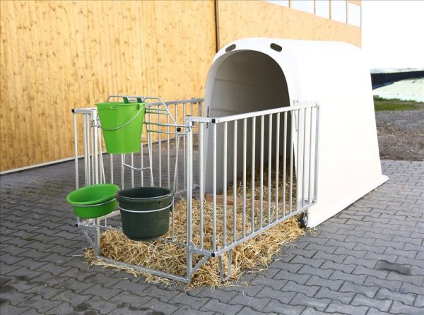 CalfHouse Premium Plus con recinto - immagine 5