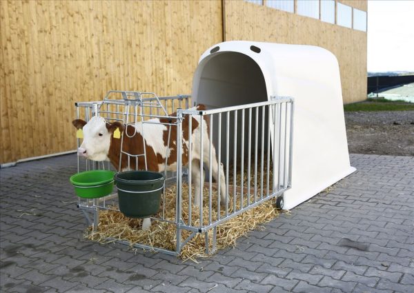 CalfHouse Premium Plus con recinto - immagine 6