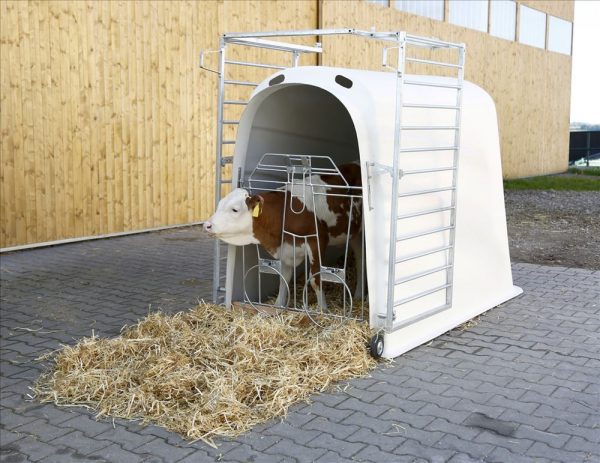 CalfHouse Premium Plus con recinto - immagine 7