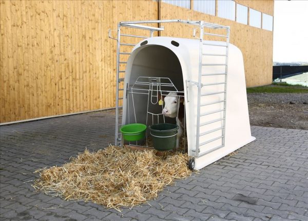 CalfHouse Premium Plus con recinto - immagine 8