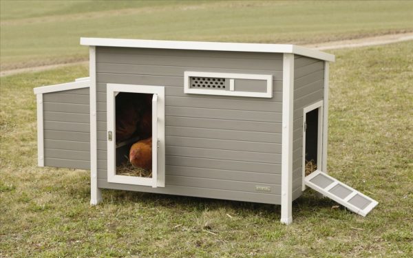 Stalla in plastica ECO Barney - immagine 3