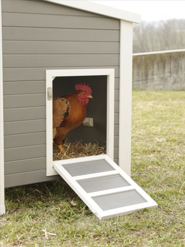 Stalla in plastica ECO Barney - immagine 10
