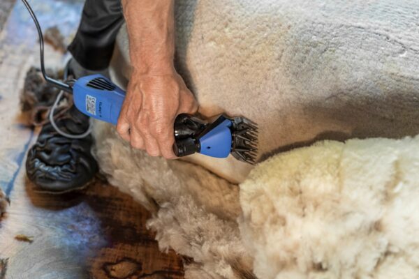 Tosatrice per pecore FarmClipper4 - immagine 2