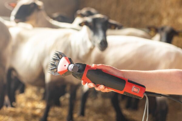 Tosatrice per pecore FarmClipper PROFI - immagine 8
