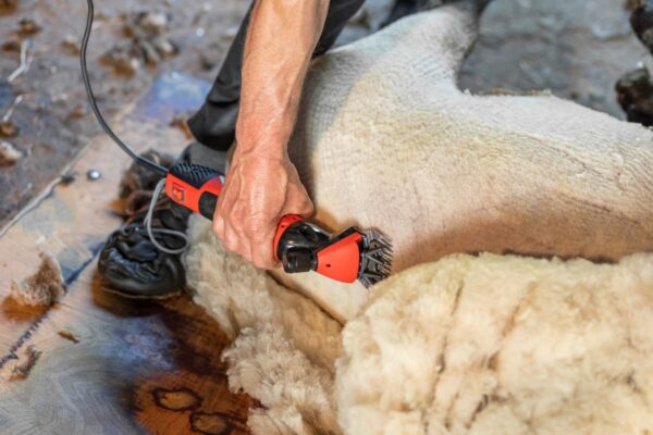 Tosatrice per pecore FarmClipper PROFI - immagine 7