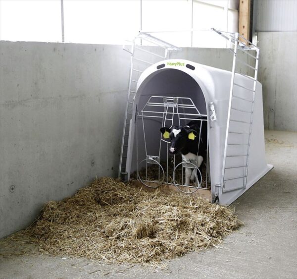 Capanna per vitelli/ Calf House Heavy Plus - immagine 3