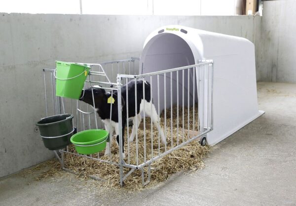 Capanna per vitelli/ Calf House Heavy Plus - immagine 6