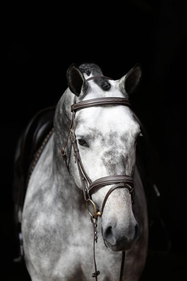 Briglie Classic - immagine 12
