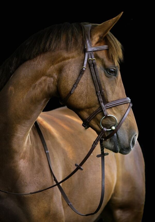 Briglie Classic - immagine 14