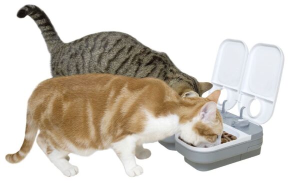 Cat Mate © alimentatore automatico C200 - immagine 4