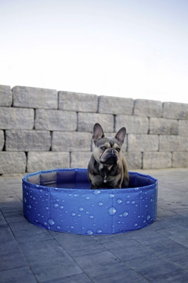 Piscina per cani Bubble - immagine 3