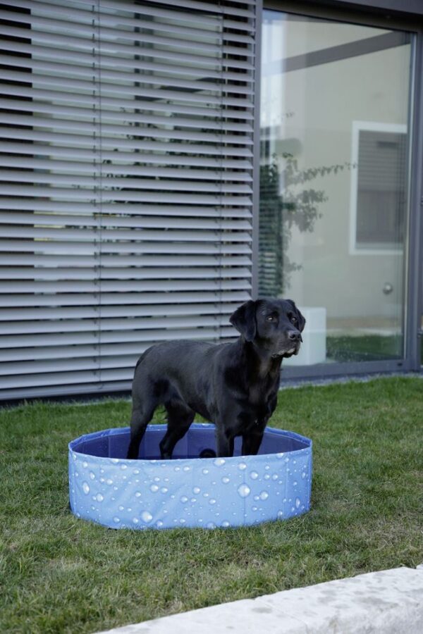 Piscina per cani Bubble - immagine 4