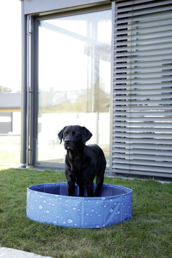 Piscina per cani Bubble - immagine 5