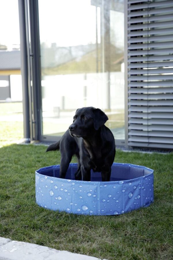 Piscina per cani Bubble - immagine 6