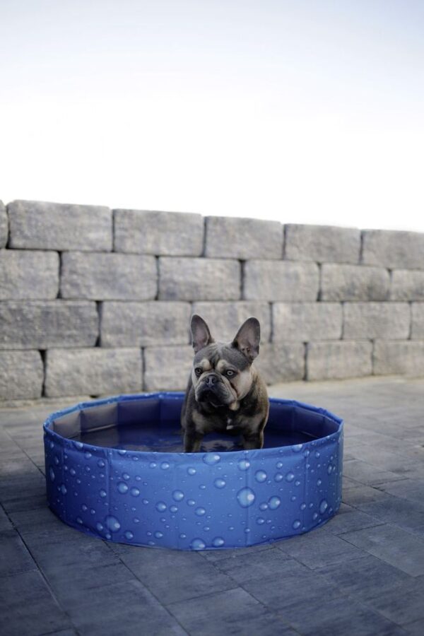 Piscina per cani Bubble - immagine 7