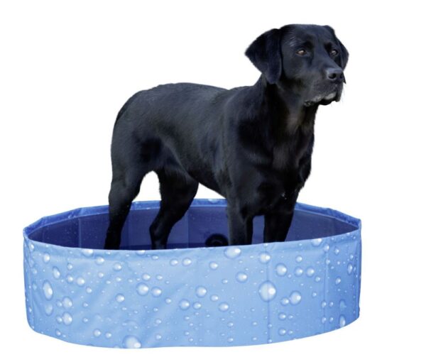 Piscina per cani Bubble - immagine 8