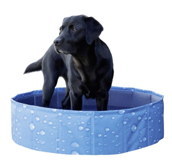 Piscina per cani Bubble - immagine 9