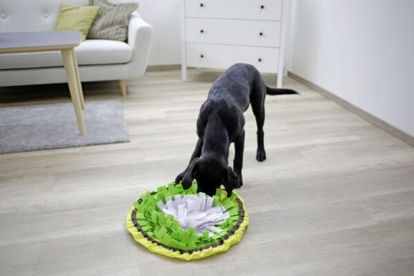 Tappetino Sniffing Bowl per cani - immagine 6