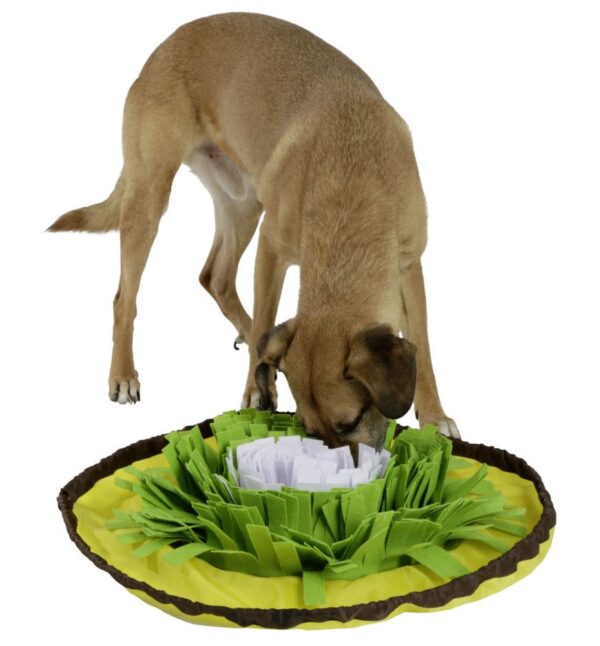 Tappetino Sniffing Bowl per cani