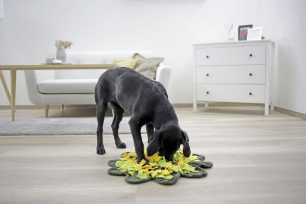 Tappeto Sniffing per cani - immagine 3