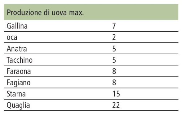 Incubatrice automatica per uova Covatutto 7 - immagine 2