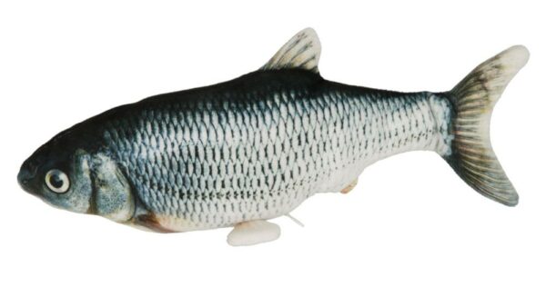 Giocattolo gatti Pesce salterino